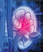 Making More Transplantable Organs Available