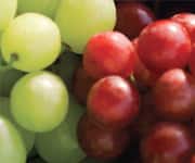 Cancer Treatment Benefits Of Metformin