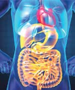 Fish-Eating Vegetarians Have Lowest Risk Of Colorectal Cancer