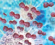 Quercetin Combats Aging at the Cellular Level