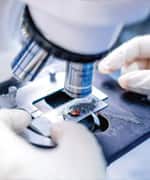 Age-Related Decline in Coenzyme Q10 Tissue Levels