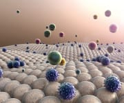 The Cellular “Bucket Brigade”