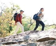 Energy Availability in Forced-Swim Mice