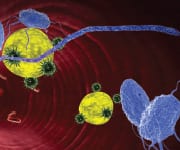 Reducing Anxiety, Depression, and Stress Safely