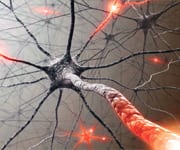 Astaxanthin Promotes Cell-Regulating Pathway