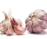 Aged Garlic Extract Reduces Arterial Plaque Burden