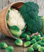 Understanding Colorectal Cancer