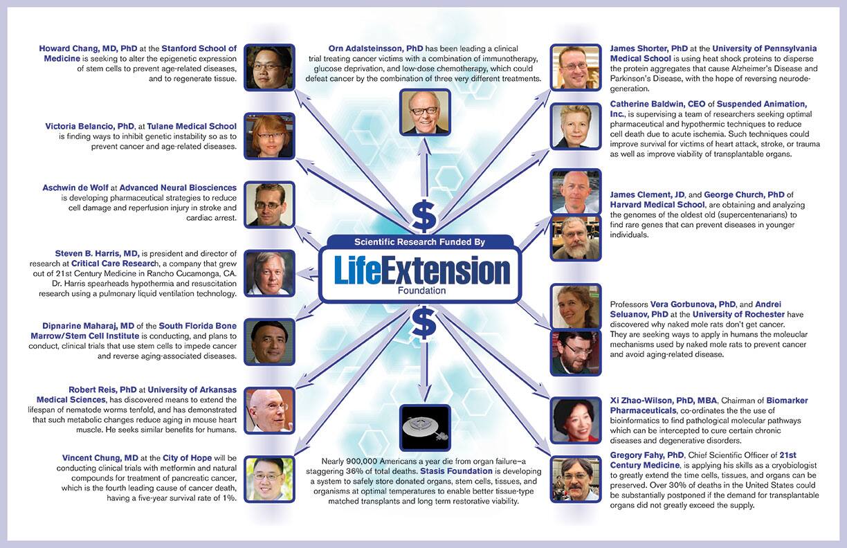 Our Critical Mission To Reverse Human Aging - Life Extension