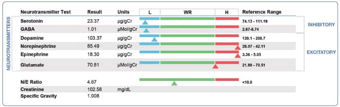 neurotransmitter test