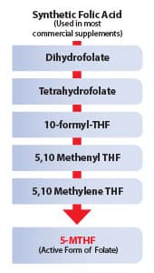 Folate Supplements Do Not Optimally Lower Homocysteine