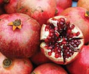 SIDEBAR IMAGE ALT TEXT