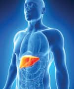 PQQ Protects Against Fatty Liver