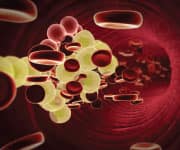 AMPK Targets Abdominal Fat