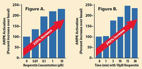 Hesperidin Increases AMPK