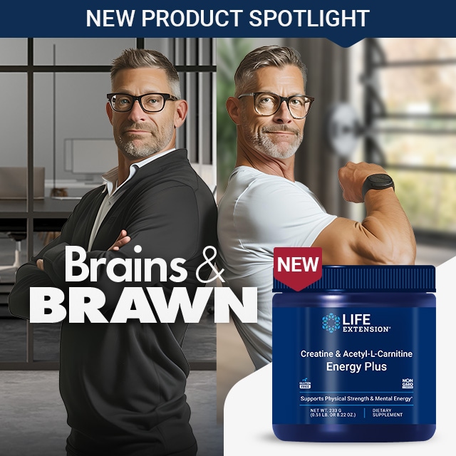 NEW PRODUCT SPOTLIGHT. Brains and Brawn. NEW! Creatine & Acetyl-L-Carnitine Energy Plus