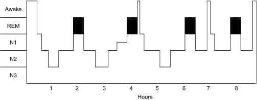 Sleep Architecture bar graph showing optimal stages of sleep