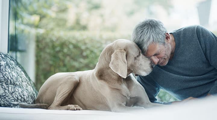 Snuggling with your dog supports mental health