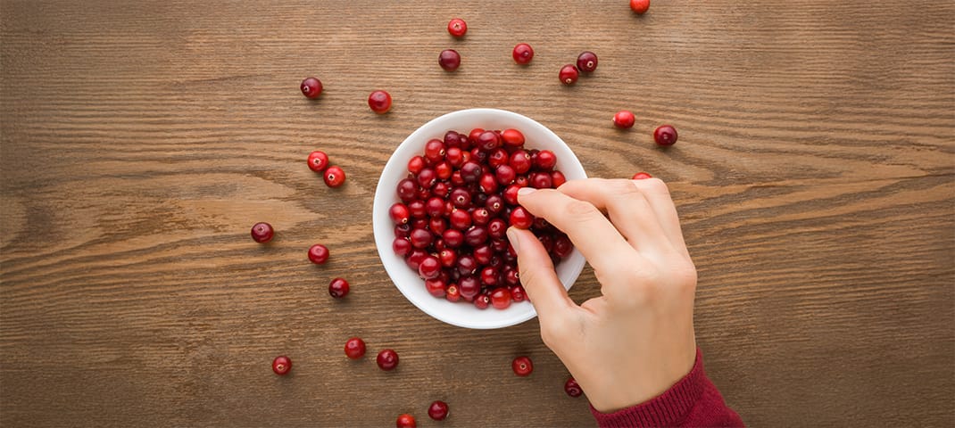 Woman's hand taking fresh red cranberries from white bowl