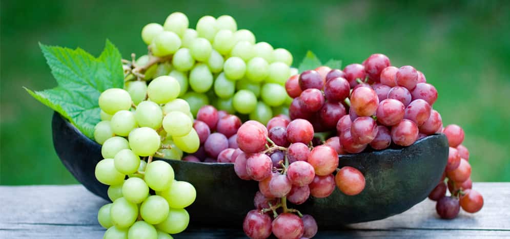 polyphenol-found-in-grapes
