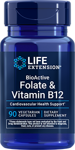 BioActive Folate & Vitamin B12, 90 vegetarian capsules