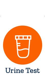 Arsenic Exposure Profile 24-hour Urine Test