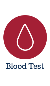 Male Panel Blood Test