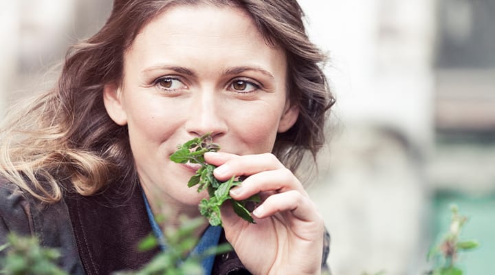 Does Mint Help You Focus? - Life Extension