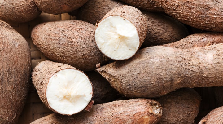 Cassava is used for both tapioca flour and cassava flour