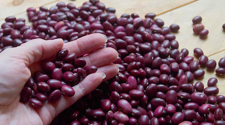 Undercooked red kidney beans that can cause some digestive symptoms