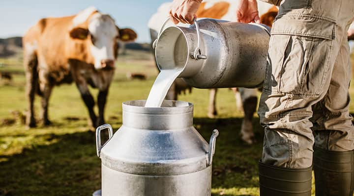 There are many misconceptions about raw milk