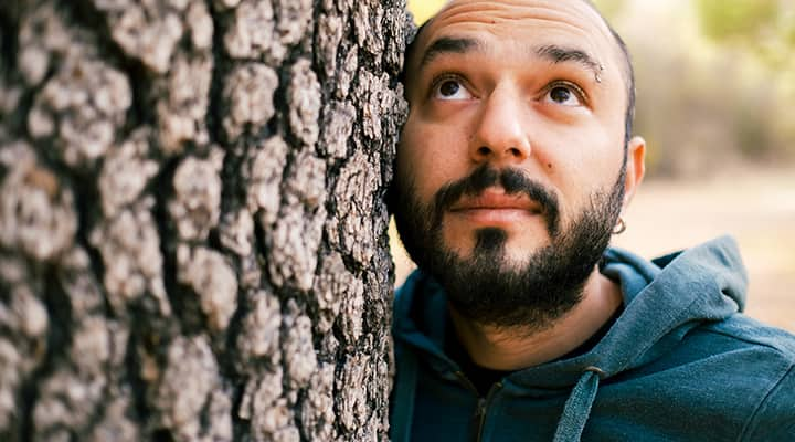 Forest bathing supports mental and physical health