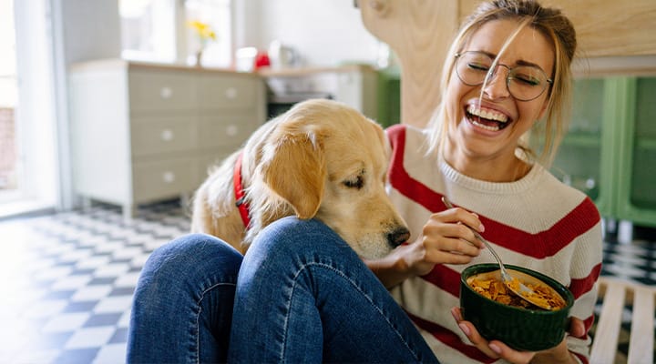 Food toppers add nutritional value to your dog’s meals