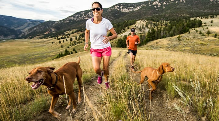 Regular exercise is a must for a healthy pup