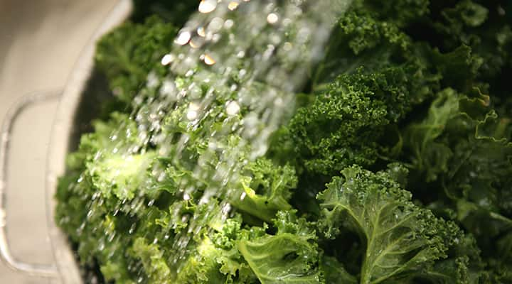 Kale being washed for base of this seasonal fruit-filled salad