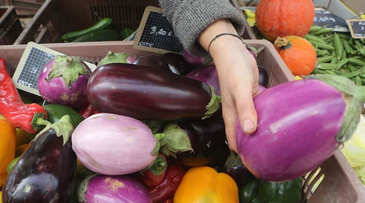 Eggplant varieties share a similar nutritional profile