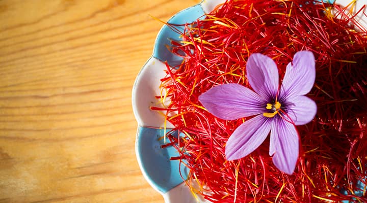 Saffron is hand-harvested