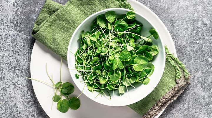 Watercress salad is a great light meal option