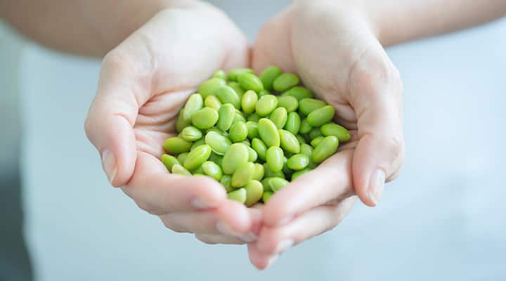 Woman holding soybeans