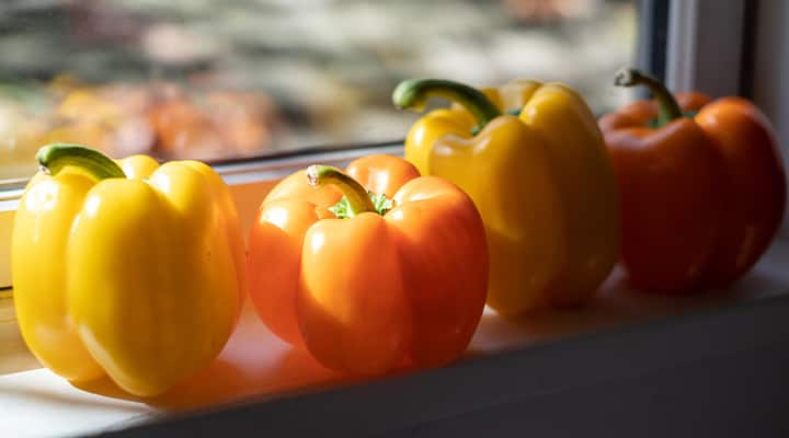 Orange bell peppers are good for your eyes