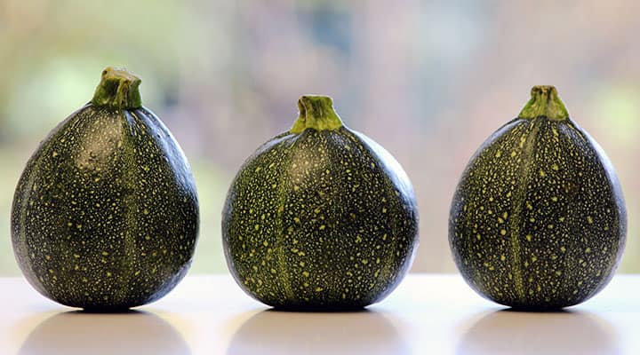 Squashes are perfect for grilling