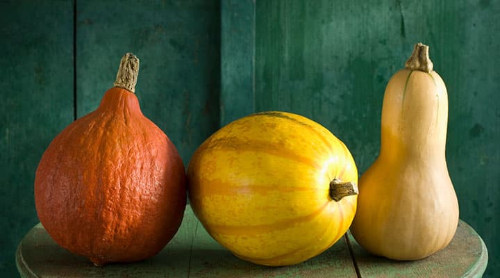 Pumpkin, butternut and spaghetti squash