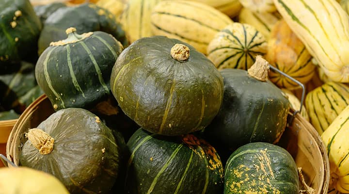 Buttercup squash is great for soups