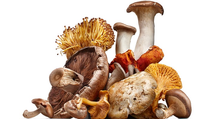 Mushrooms are an abundant source of health-promoting beta glucans