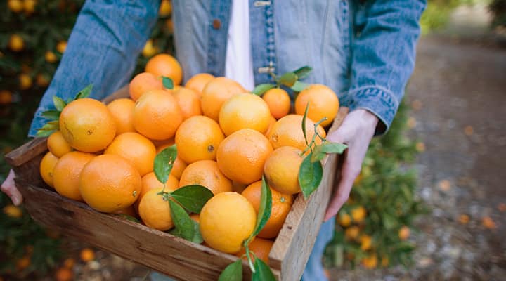 Basket of oranges that are a rich source of vitamin C