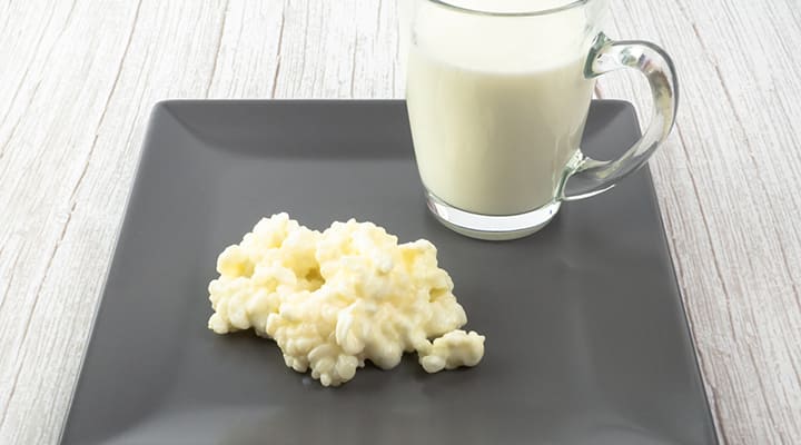 Lactobacillus is in the fungus of kefir or take it as a supplement