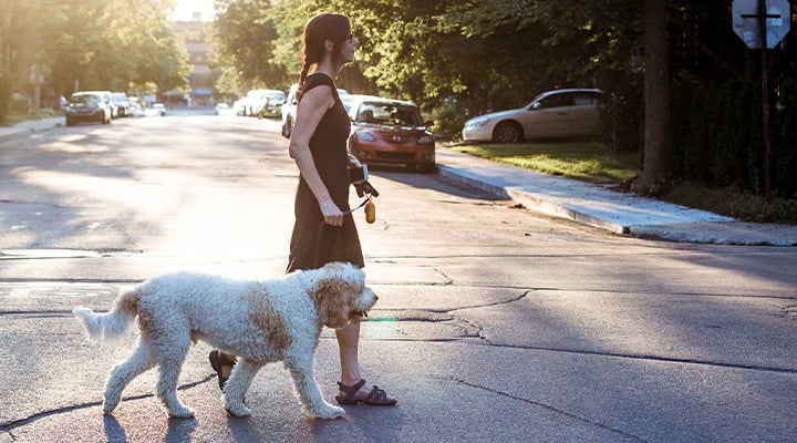 Take a post-dinner walk