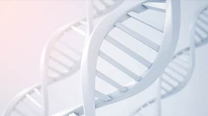 EPIGENETICS for Breast Cancer Prevention