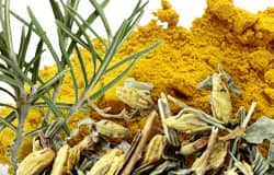 Common spices inhibit AGE