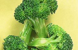 Broccoli compound targets breast cancer stem cells