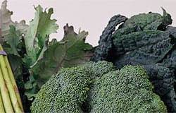 Compound in broccoli may help protect against asthma and other respiratory disease